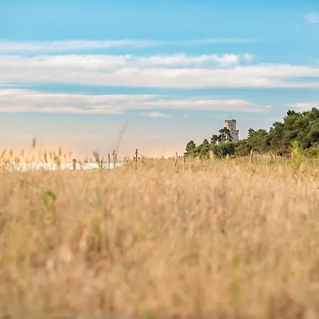 Апартаменты Marine A13 Silvi