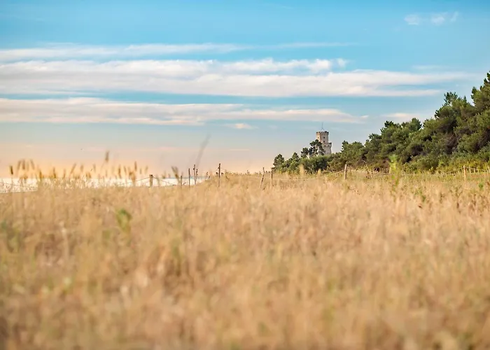 Апартаменты Marine A13 Silvi